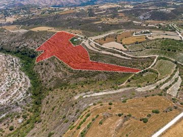 Field - Pano Arodes, Paphos