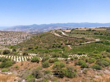 Field - Pano Arodes, Paphos