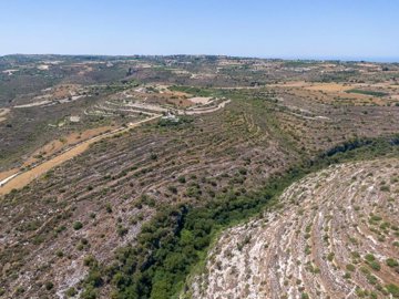 Field - Pano Arodes, Paphos
