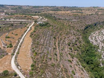 Field - Pano Arodes, Paphos