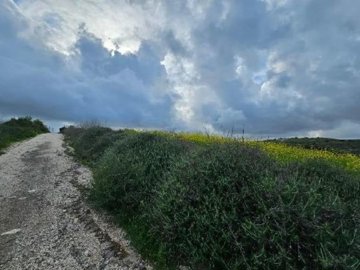 Field - Pano Arodes, Paphos