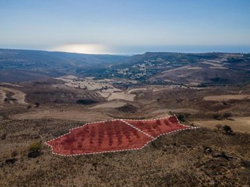 Field - Ineia, Paphos