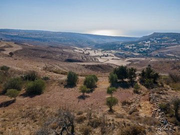Field - Ineia, Paphos