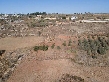Field - Ineia, Paphos