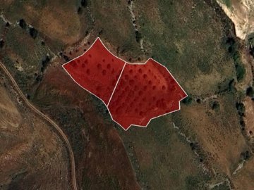 Field - Ineia, Paphos