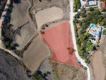Field – Pano Arodes, Paphos