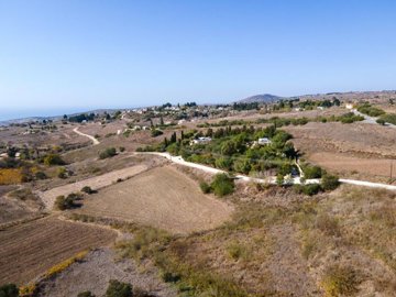 Field – Pano Arodes, Paphos