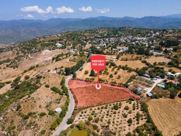 Field - Fyti, Paphos