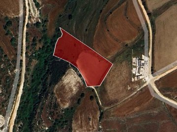 Field - Pano Arodes, Paphos