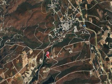 Field - Pano Arodes, Paphos