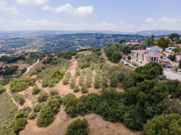 Field - Psathi, Paphos