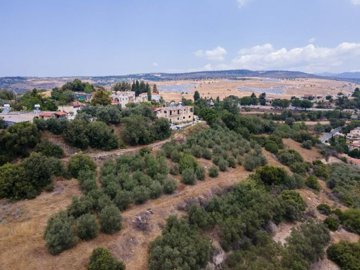 Field - Psathi, Paphos