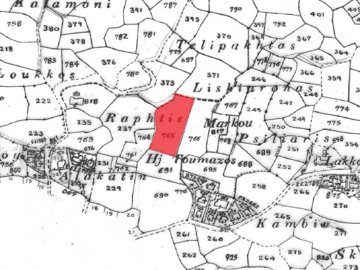 Field - Stroumpi, Paphos