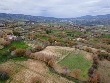 Field - Stroumpi, Paphos