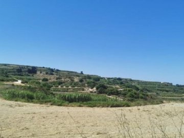 Field - Stroumpi, Paphos