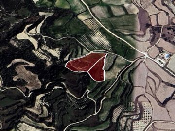 Field - Stroumpi, Paphos