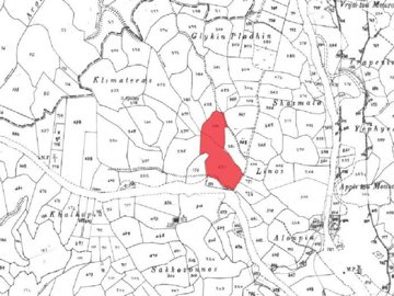 Field - Stroumpi, Paphos