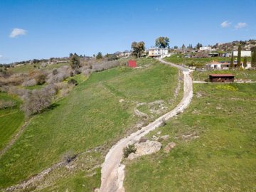 Field - Thrinia, Paphos