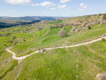 Field - Thrinia, Paphos