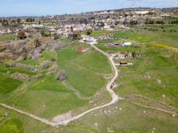 Field - Thrinia, Paphos