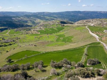Field - ?hrinia, Paphos