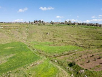 Field - ?hrinia, Paphos
