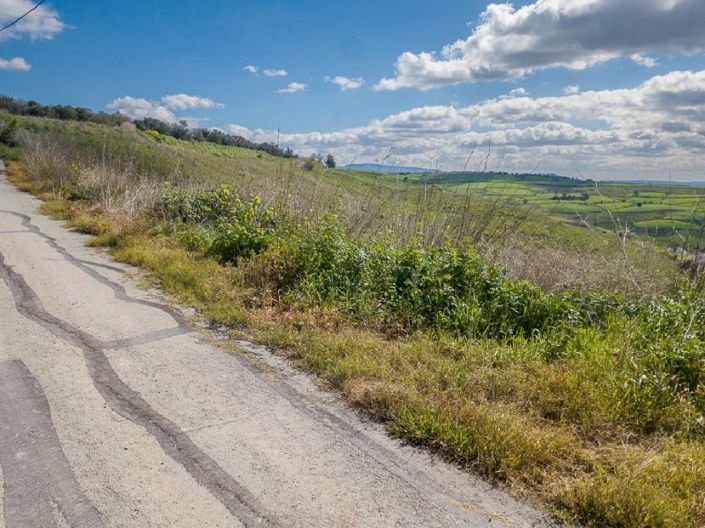 Image No.7-Terre à vendre à Thrinia