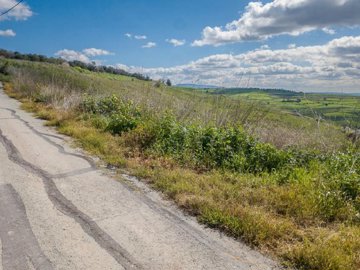 Field - ?hrinia, Paphos