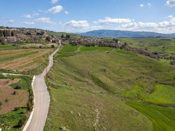 Field - ?hrinia, Paphos