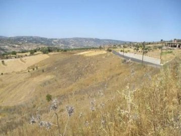 Field - ?hrinia, Paphos