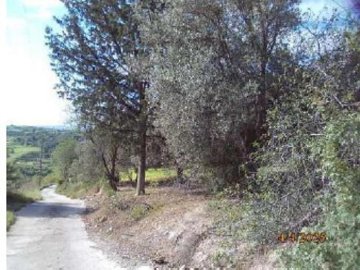 Field - Thrinia, Paphos