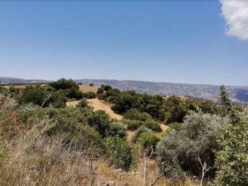 Field - Drymou, Paphos