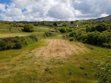 Field - Theletra, Paphos