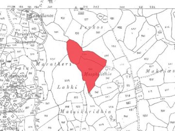 Field - Theletra, Paphos