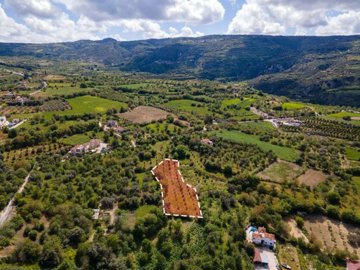 Field - Giolou, Paphos