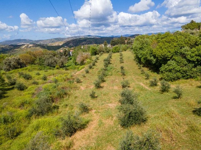 Image No.5-Land for sale