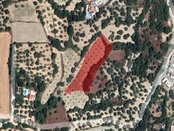 Field - Giolou, Paphos