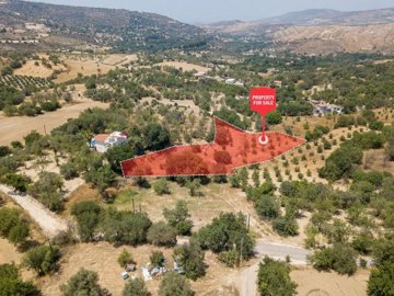 Field - Giolou, Paphos