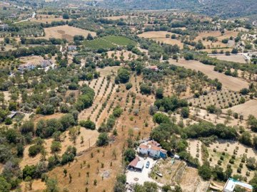 Field - Giolou, Paphos