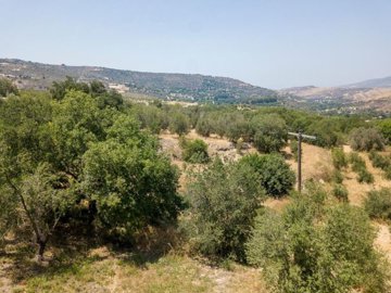 Field - Giolou, Paphos