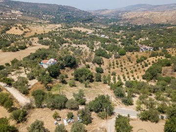 Field - Giolou, Paphos