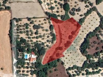 Field - Giolou, Paphos