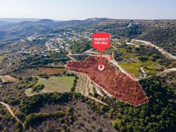 Field - Theletra, Paphos