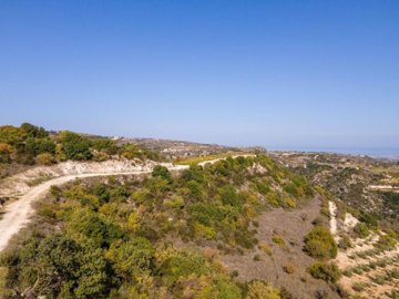 Field - Theletra, Paphos