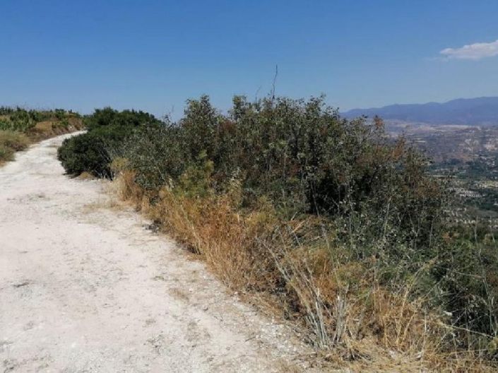 Image No.5-Land for sale