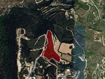 Field - Theletra, Paphos