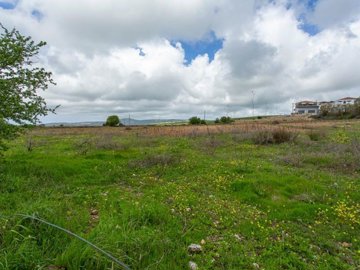 Field - Kathikas, Paphos