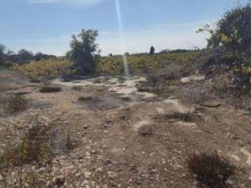 Field - Kathikas, Paphos