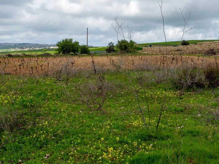 Image No.2-Land for sale