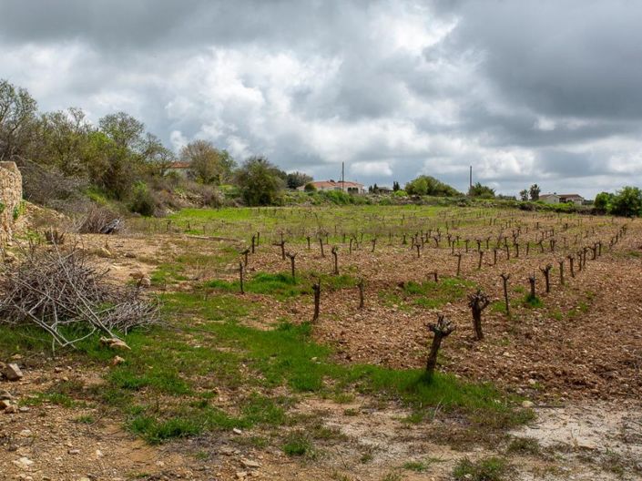 Image No.3-Land for sale